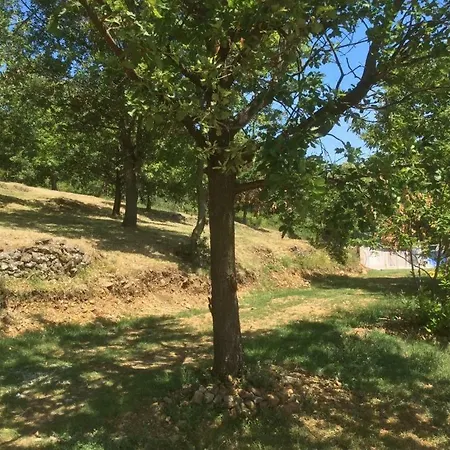 Gites De La Chataigneraie Villa Vesseaux